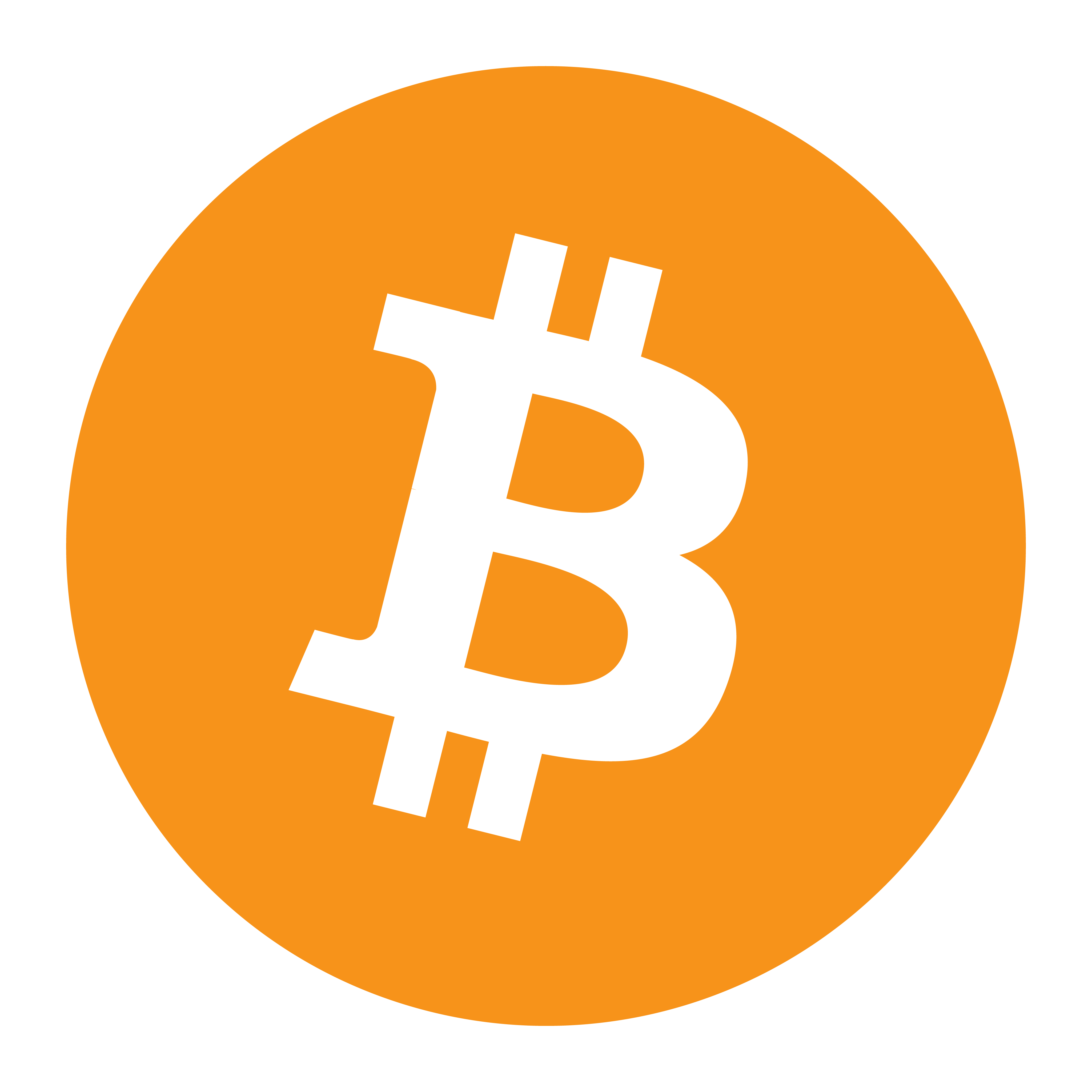 Bitcoin Logo